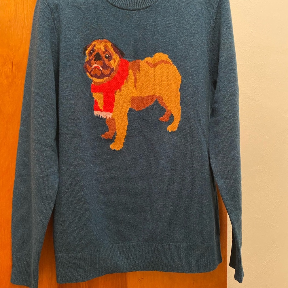 Bonobos Teal Pug Sweater